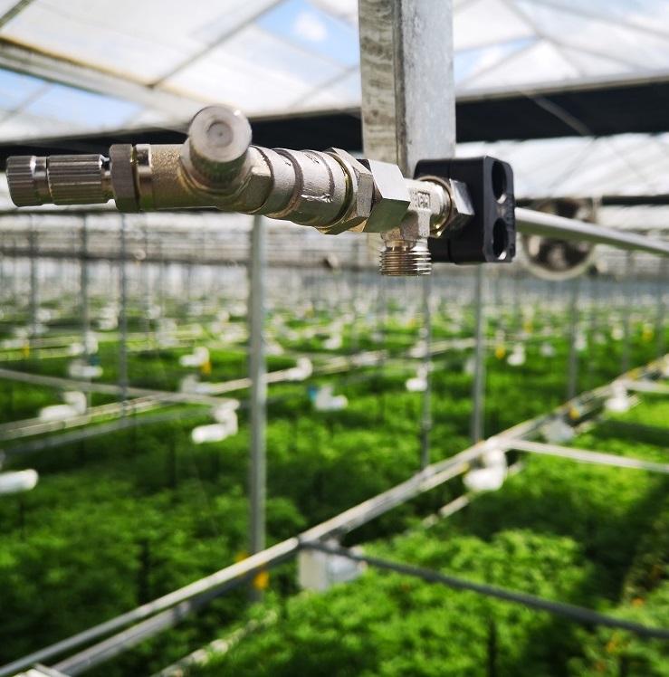 Misting system for greenhouse