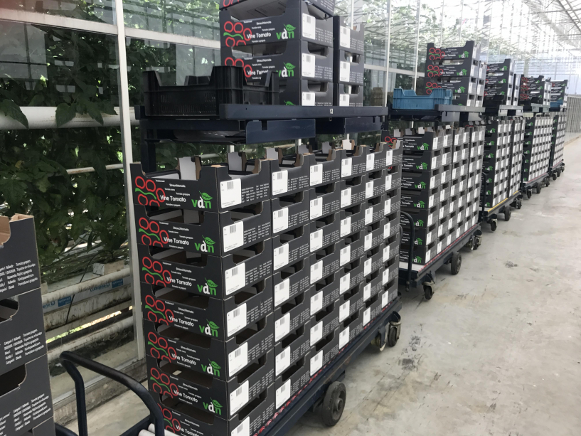 Logistics systems for Greenhouses 