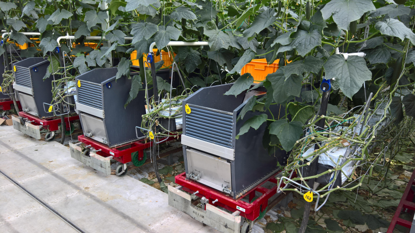 Machines et matériaux KG Greenhouses