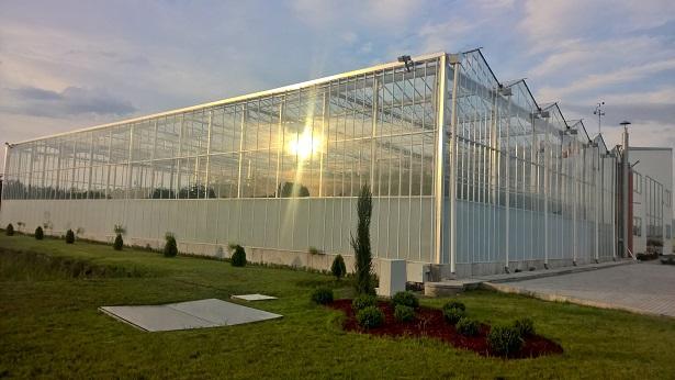 KG Greenhouses 
