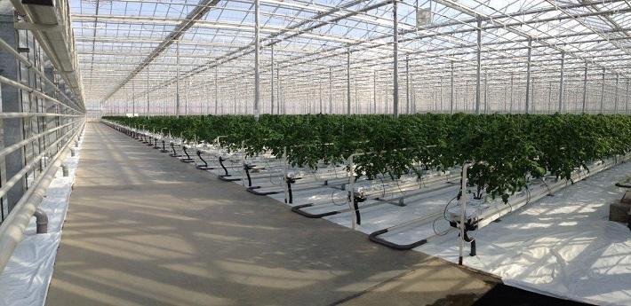 Greenhouse Growing Gutters Systems