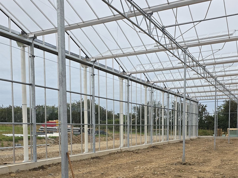 Strawberry Project Ireland