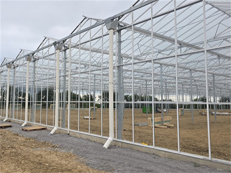 Strawberry Project Ireland