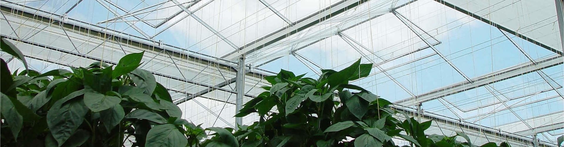 Greenhouses Screening Systems 