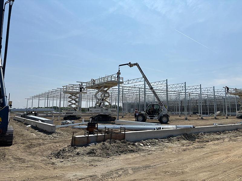 Project Dogterom