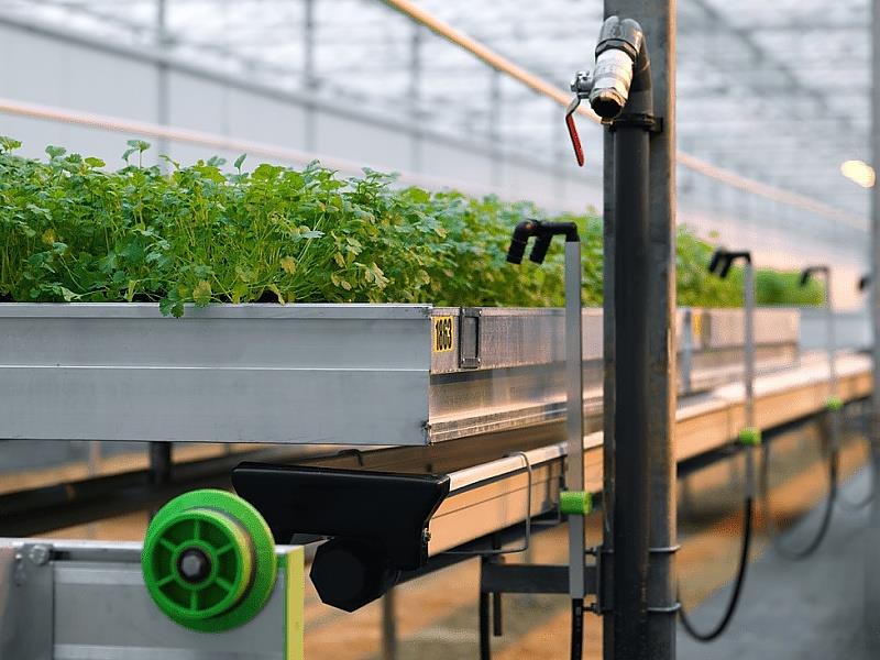 De kracht van KG Greenhouses