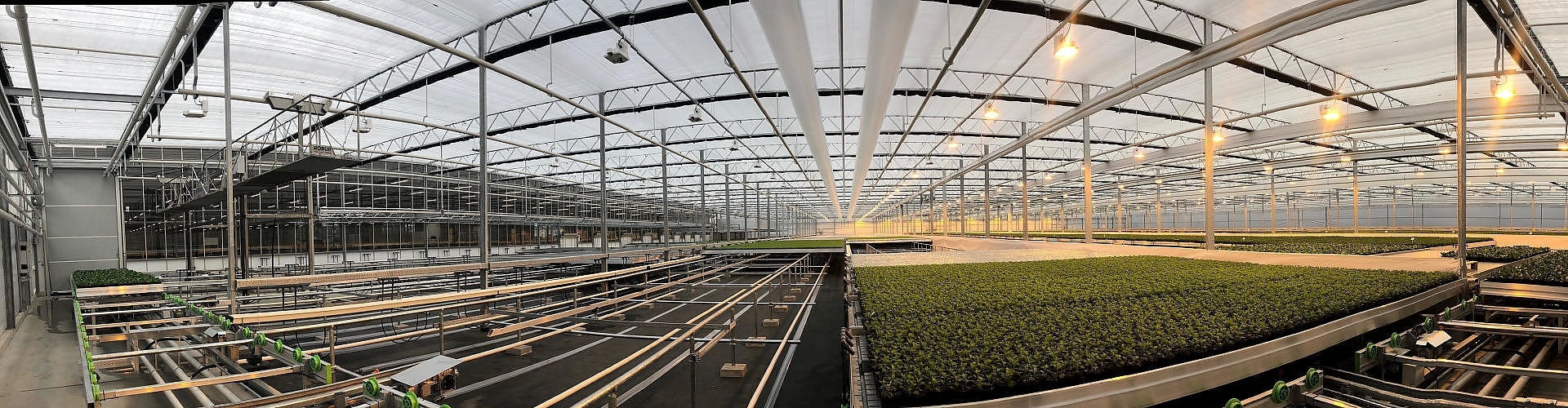 Growing bench systems