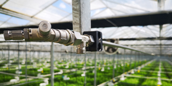 Greenhouse Misting Systems