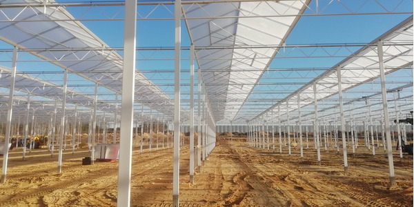 Glass Greenhouse Construction 