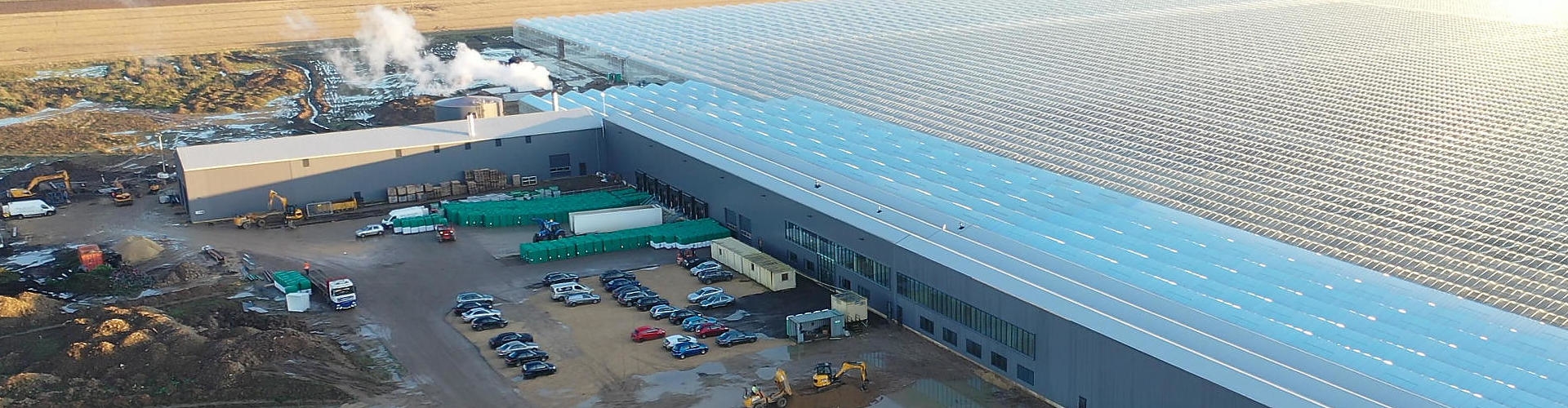 Bridge Farm (Neame Lea) - Fase 2