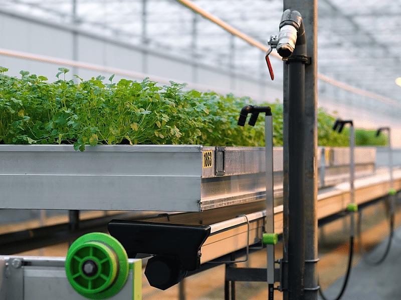 Unser Team von KG Greenhouses berät Sie gerne zu Ihrem System.