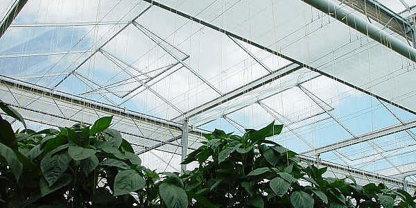 Greenhouses Screening Systems 