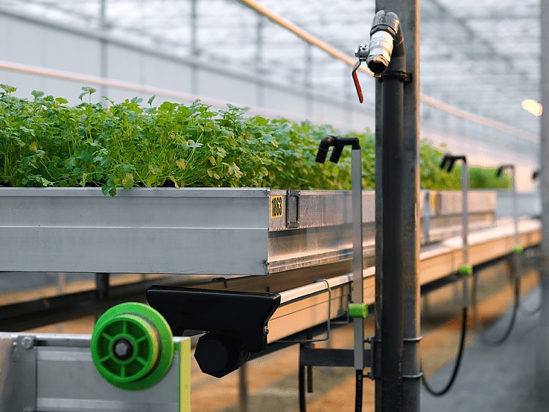 Nasz zespól w KG Greenhouses jest gotowy doradzic Ci w kwestii Twojego systemu