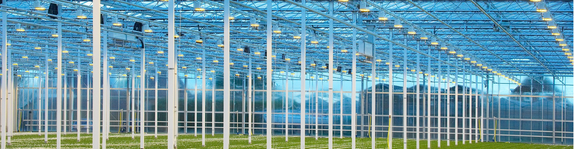 Greenhouse Grow lights and LED systems